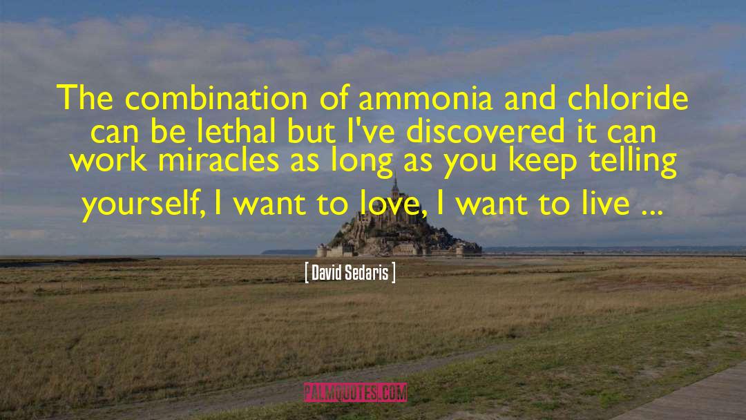 Want To Love quotes by David Sedaris