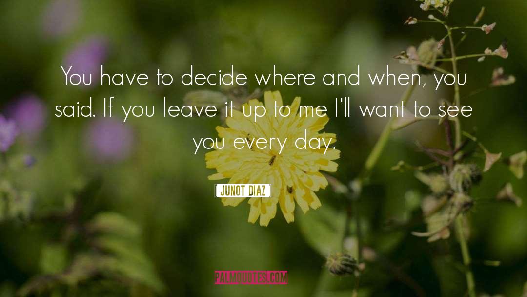 Want To See You quotes by Junot Diaz