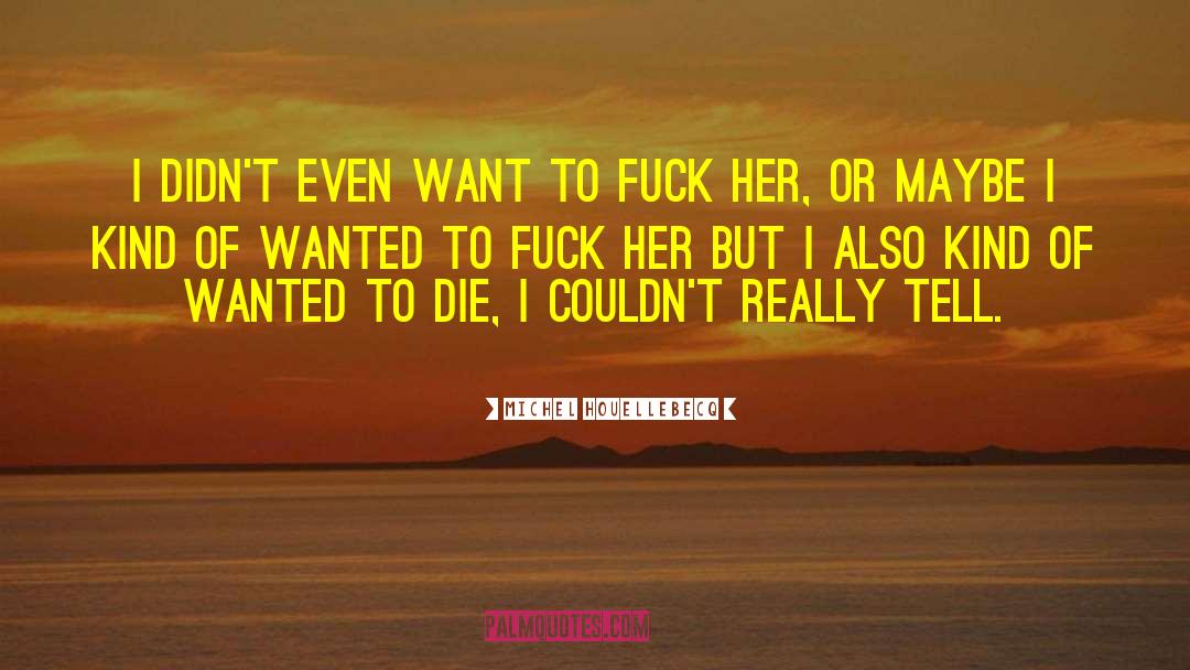 Wanted To Die quotes by Michel Houellebecq