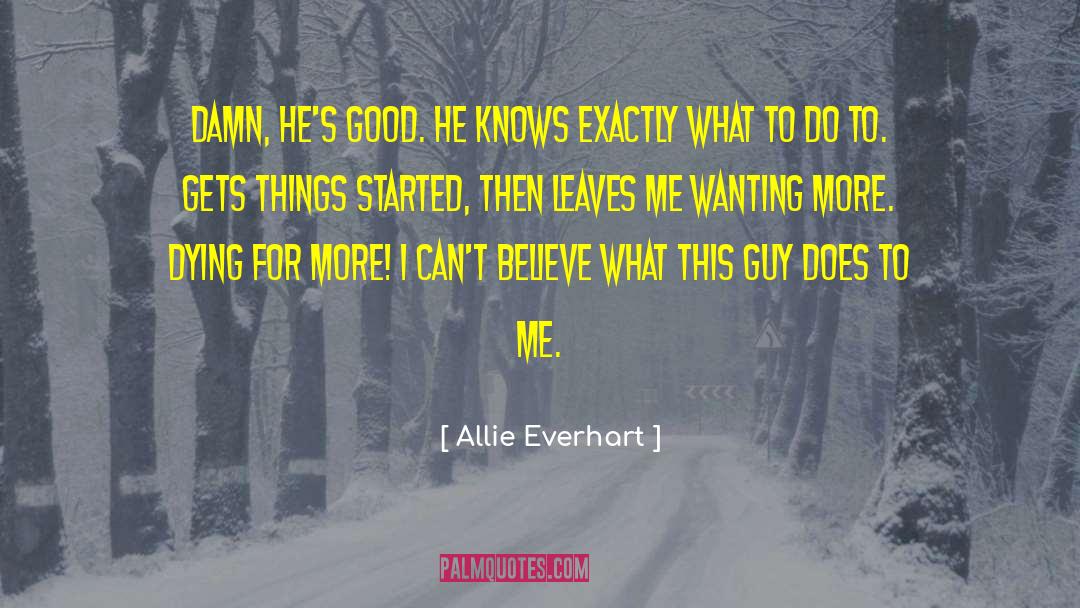 Wanting More quotes by Allie Everhart
