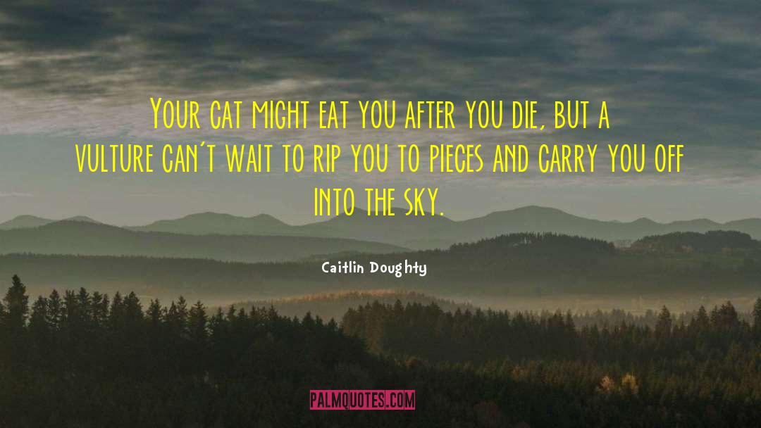 Wanting To Die quotes by Caitlin Doughty