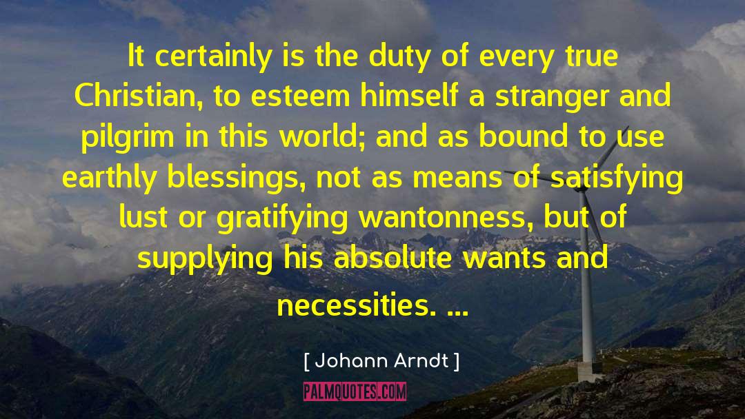 Wantonness quotes by Johann Arndt