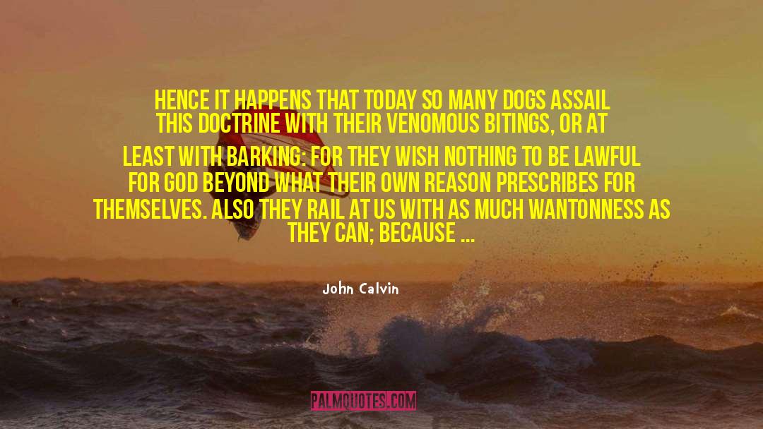 Wantonness quotes by John Calvin