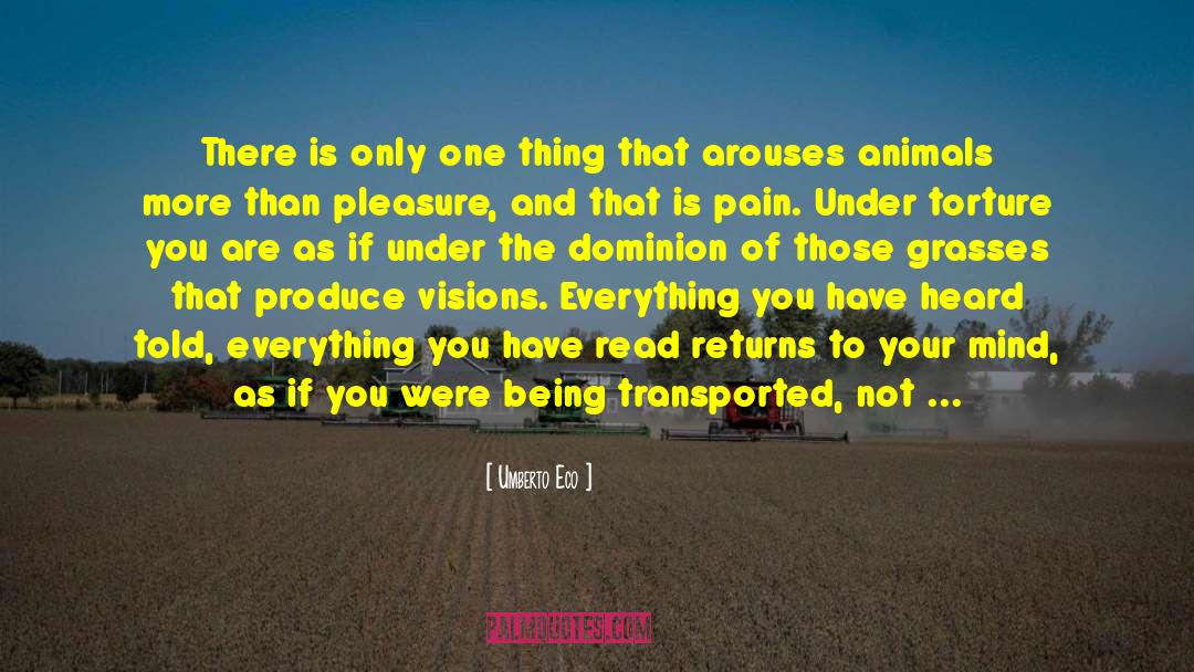Wants More Than A Friendship quotes by Umberto Eco