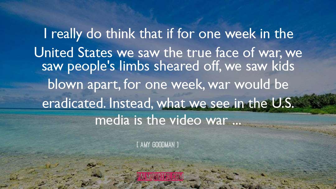 War Of Liberation quotes by Amy Goodman