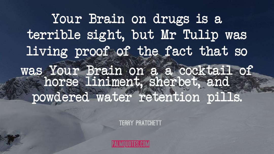 War On Drugs Drugs quotes by Terry Pratchett