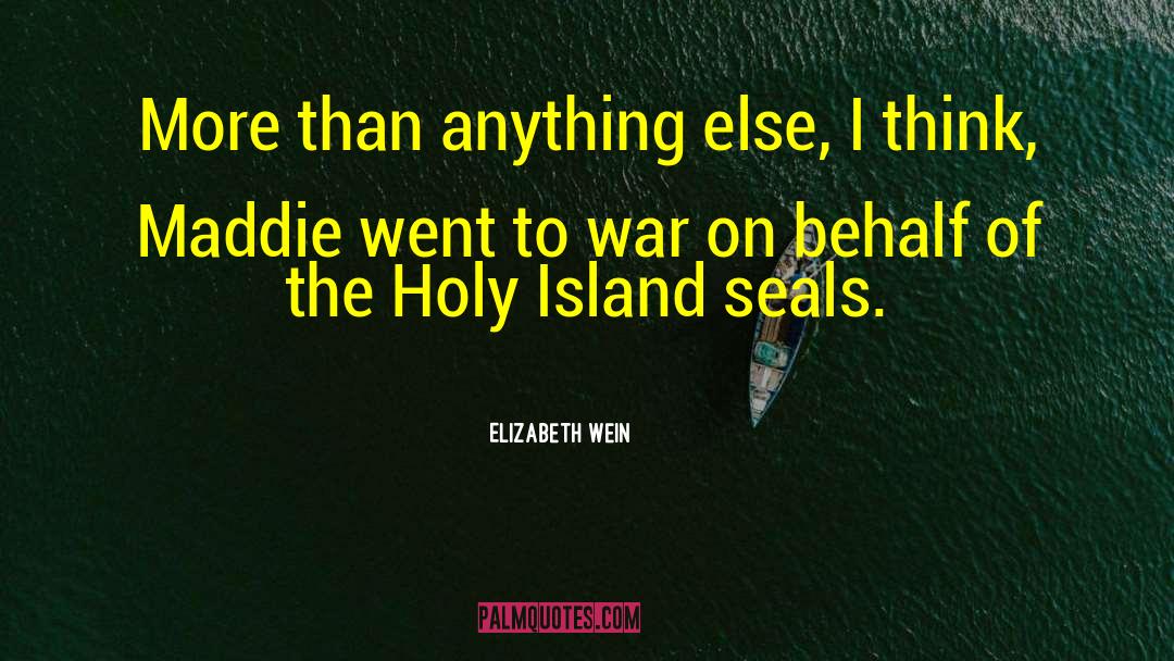 War On Terrorism quotes by Elizabeth Wein