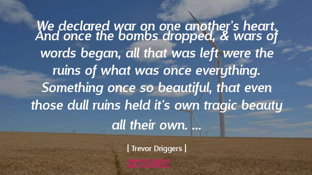War On Terrorism quotes by Trevor Driggers