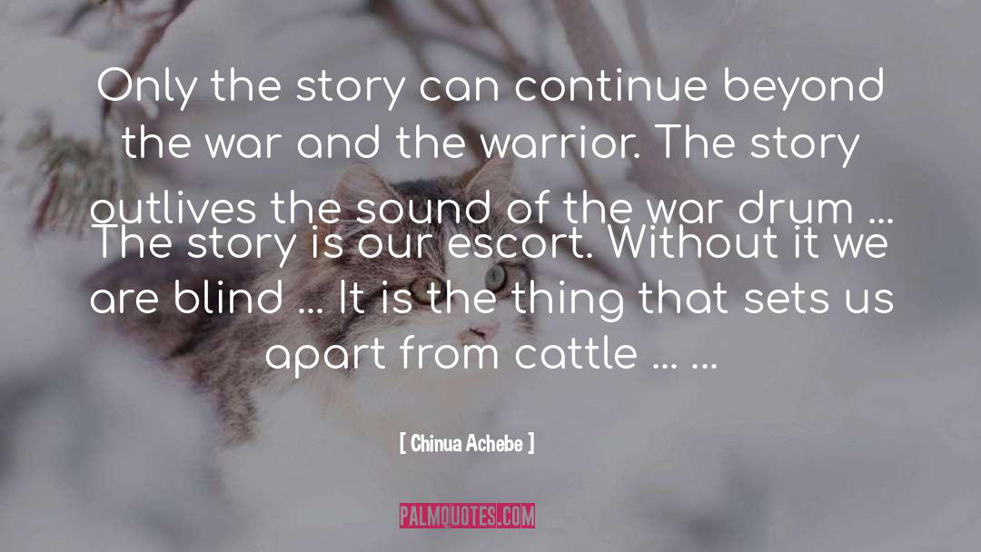 War Stories quotes by Chinua Achebe