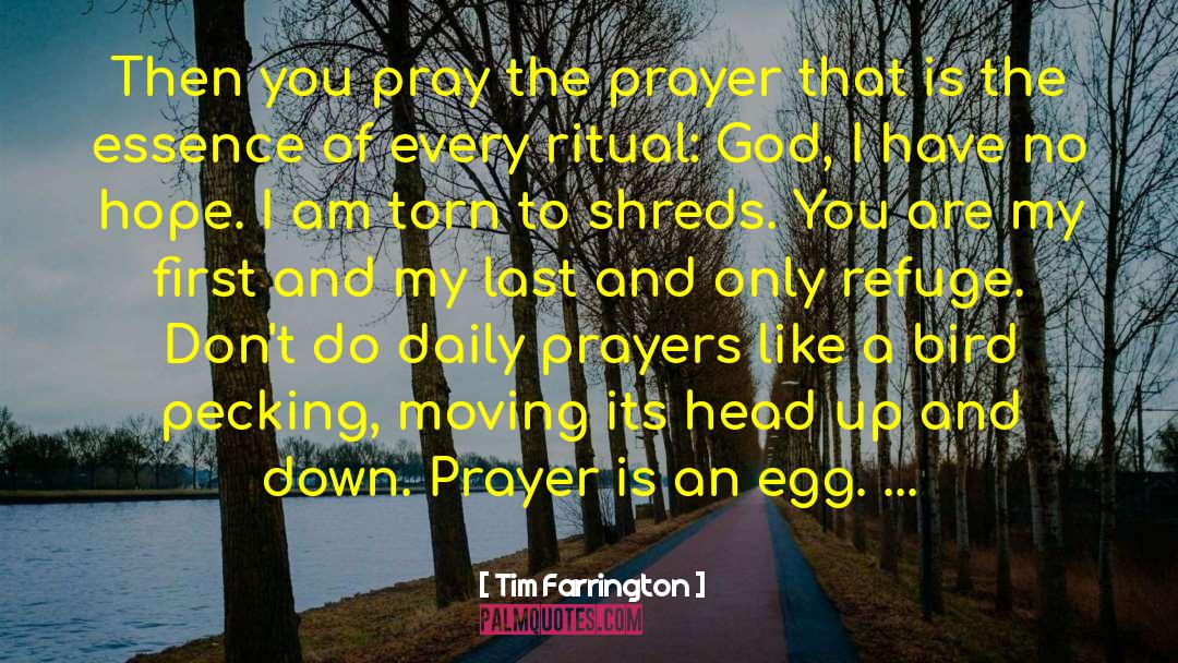 Warfare Prayers quotes by Tim Farrington