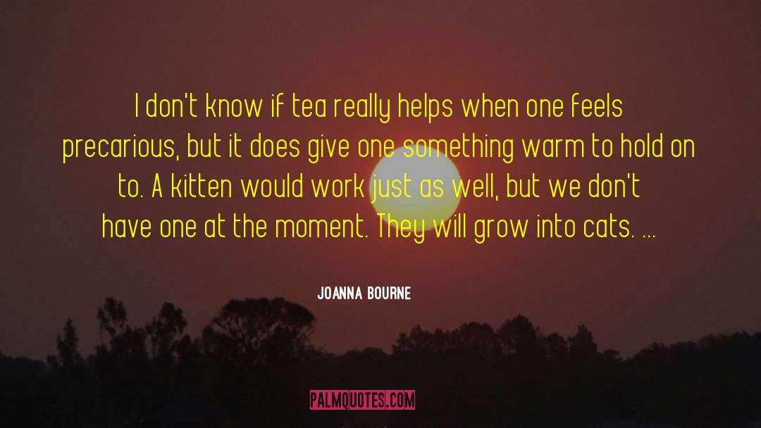 Warm Fuzzy quotes by Joanna Bourne