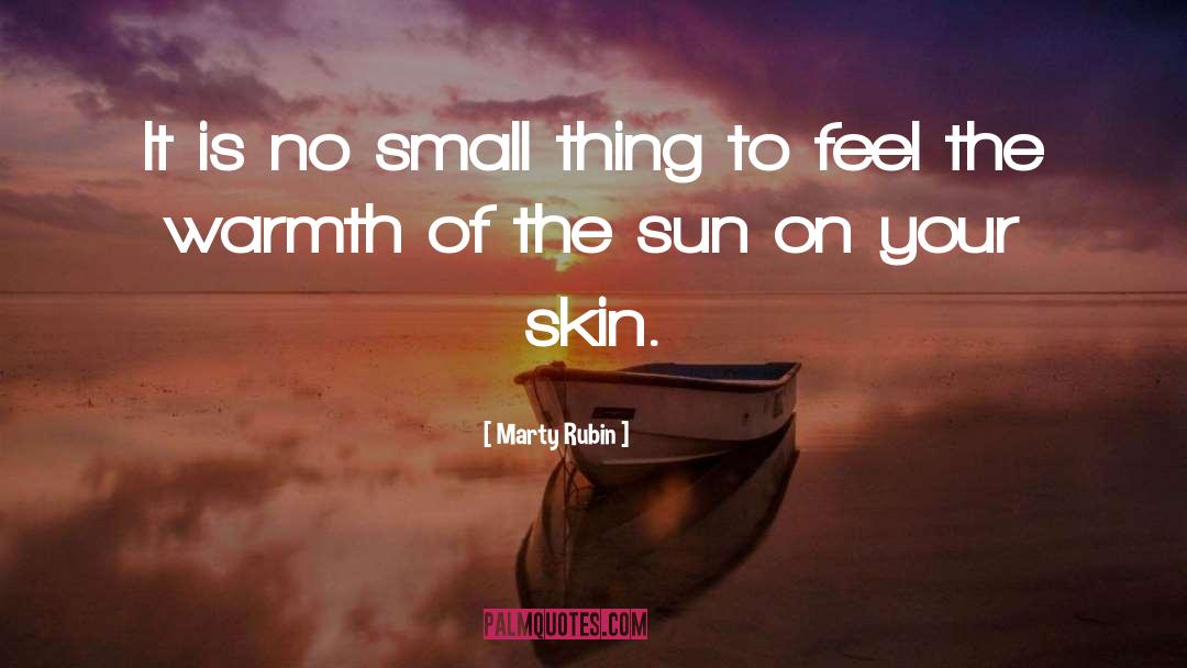 Warmth Of The Sun quotes by Marty Rubin