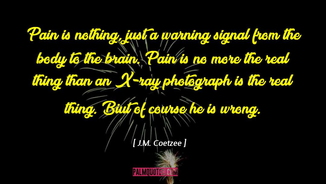 Warning Sign quotes by J.M. Coetzee