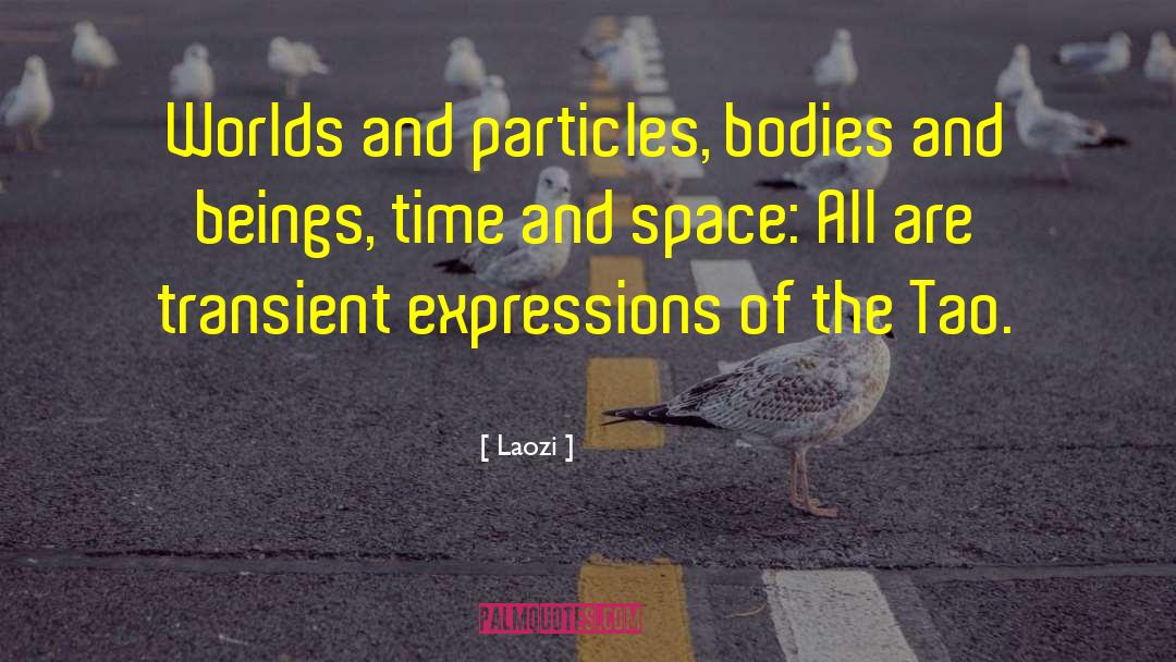 Warped Space quotes by Laozi