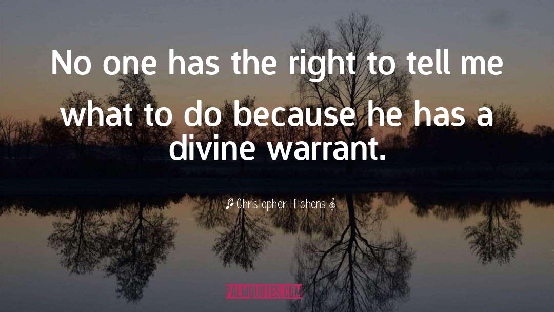 Warrant quotes by Christopher Hitchens
