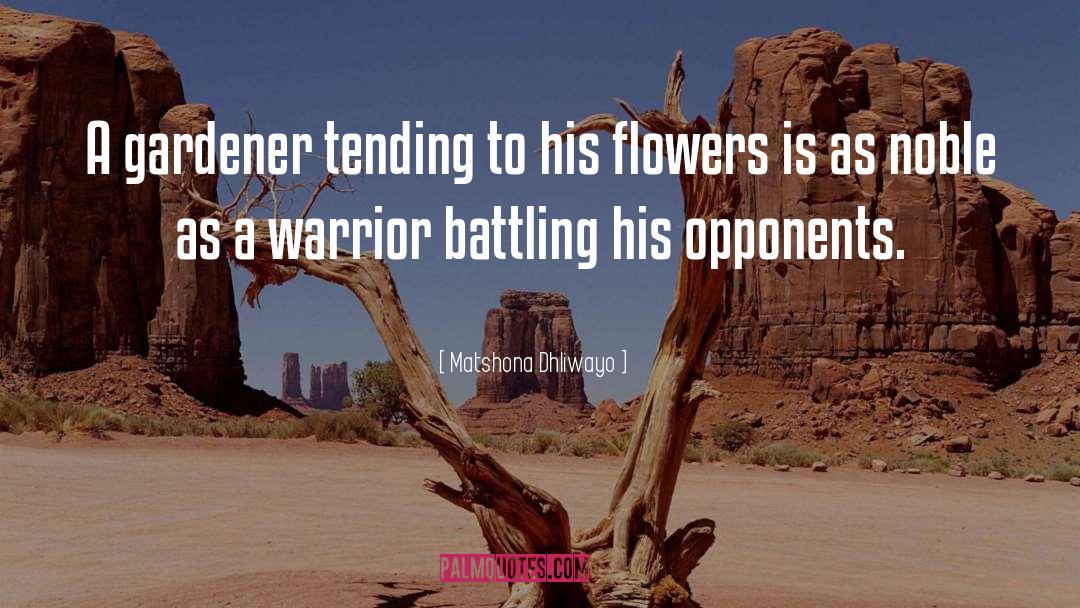 Warrior Ethos quotes by Matshona Dhliwayo