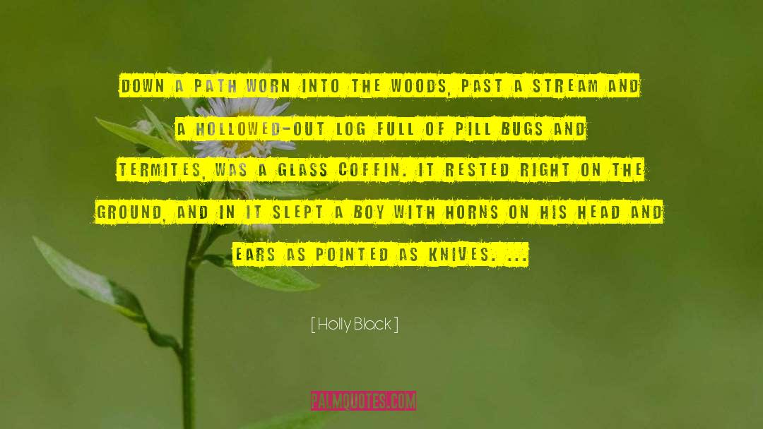 Warriors Path quotes by Holly Black