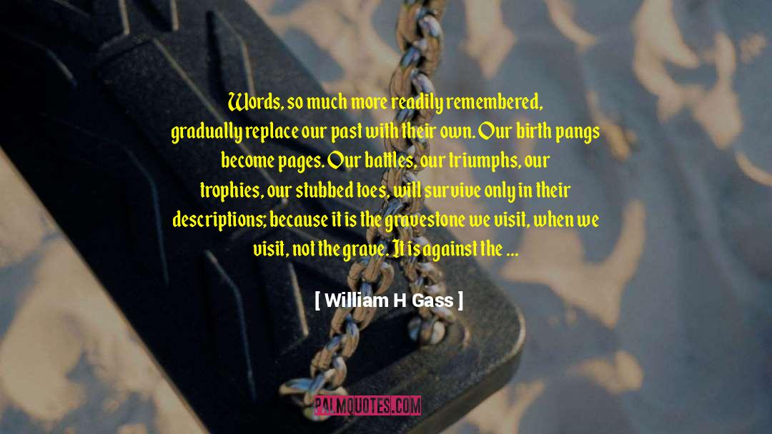 Wars And Battles quotes by William H Gass