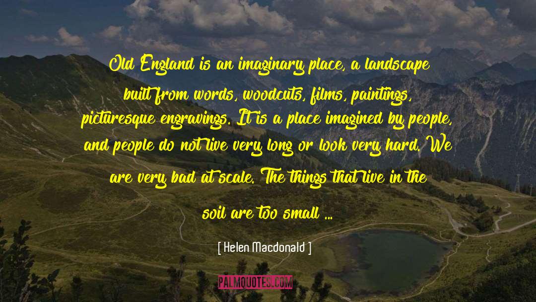 Warwick England quotes by Helen Macdonald