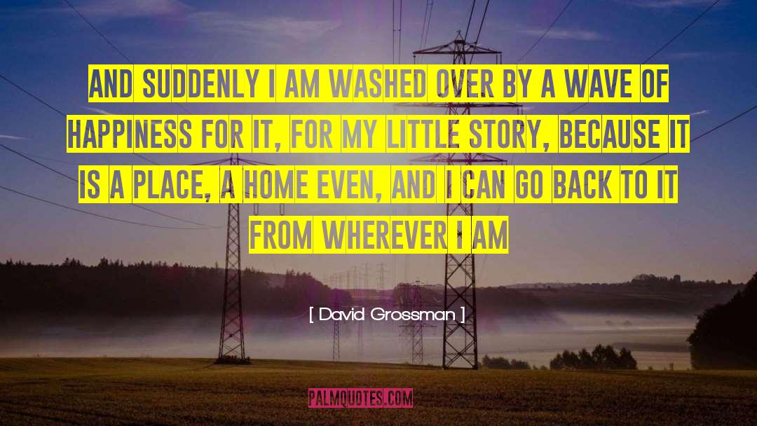 Washed Up quotes by David Grossman