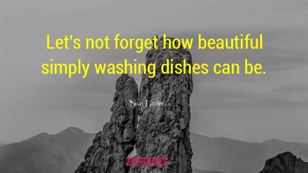 Washing Dishes quotes by Noah Hawley