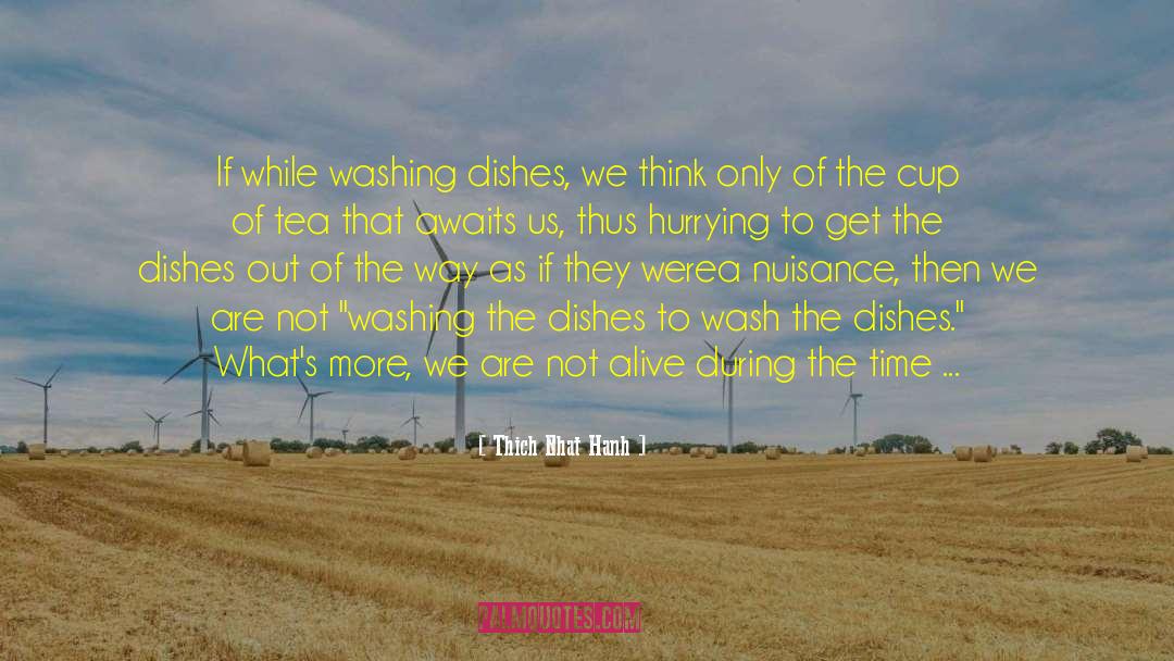 Washing Dishes quotes by Thich Nhat Hanh