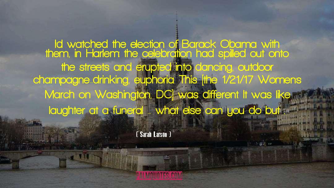 Washington Dc quotes by Sarah Larson