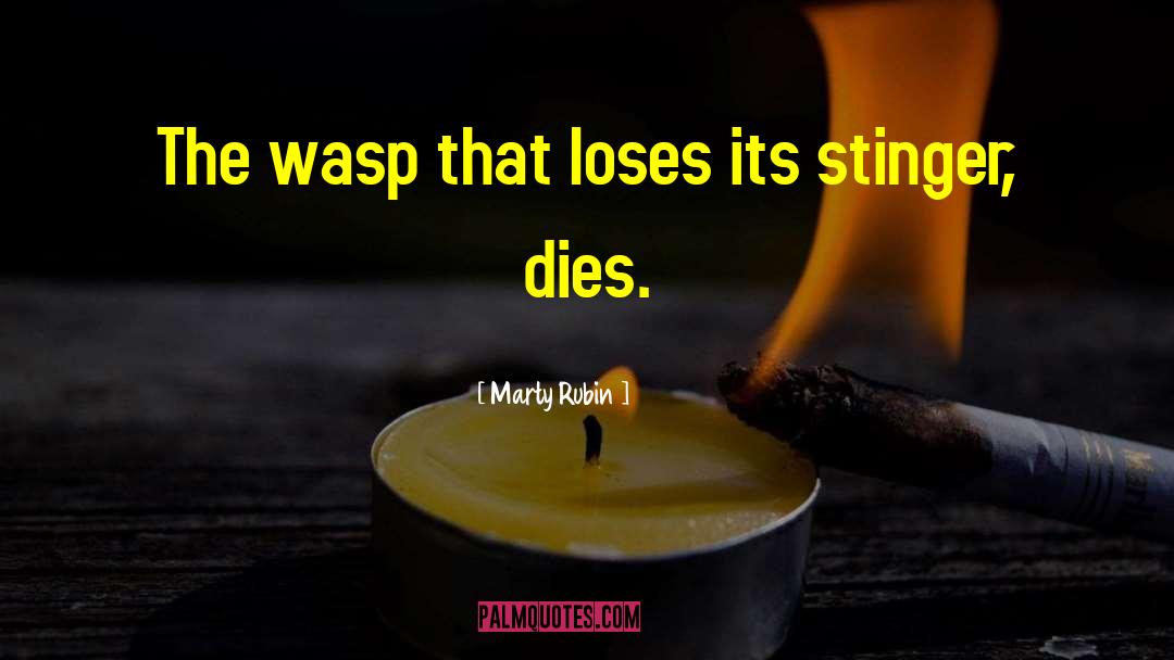 Wasp quotes by Marty Rubin