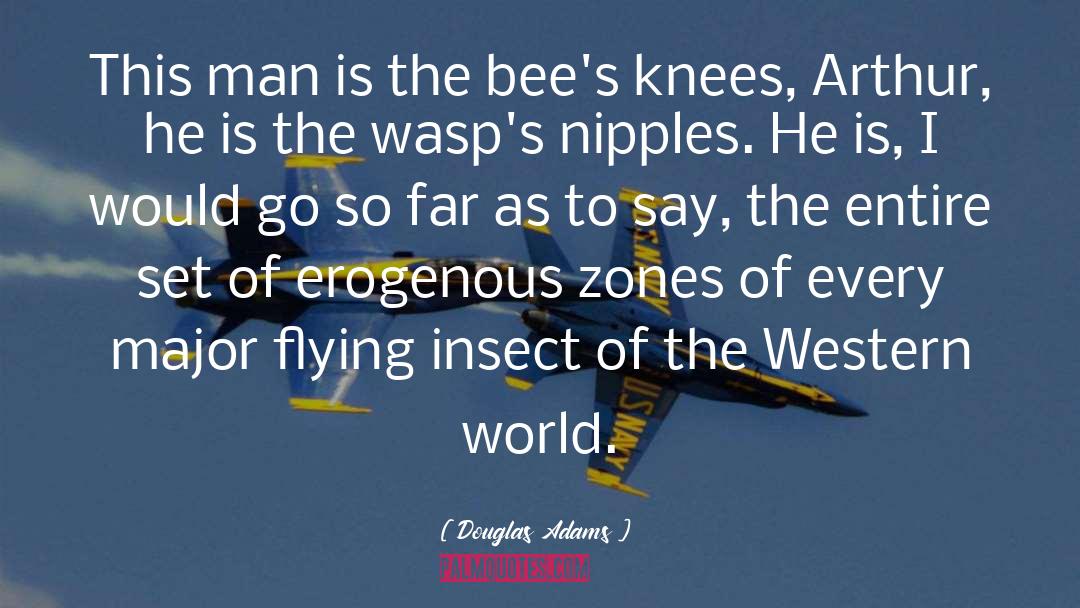 Wasps Aristophanes quotes by Douglas Adams