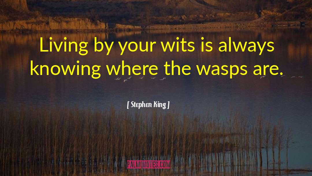 Wasps quotes by Stephen King