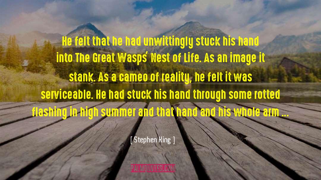 Wasps quotes by Stephen King