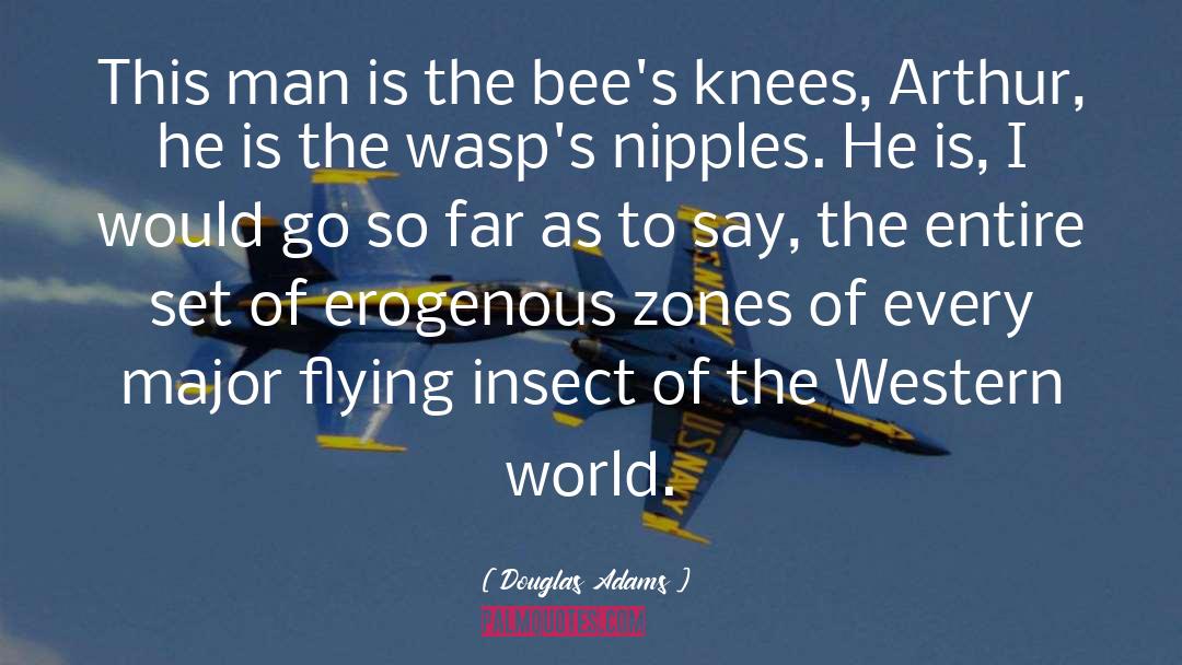 Wasps quotes by Douglas Adams