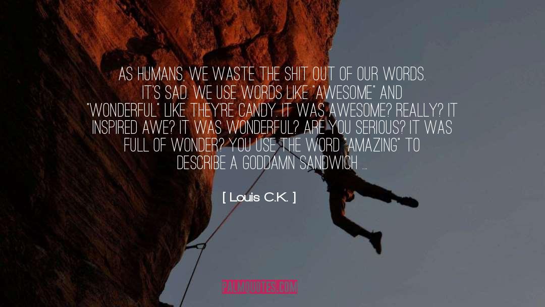 Waste Energy quotes by Louis C.K.