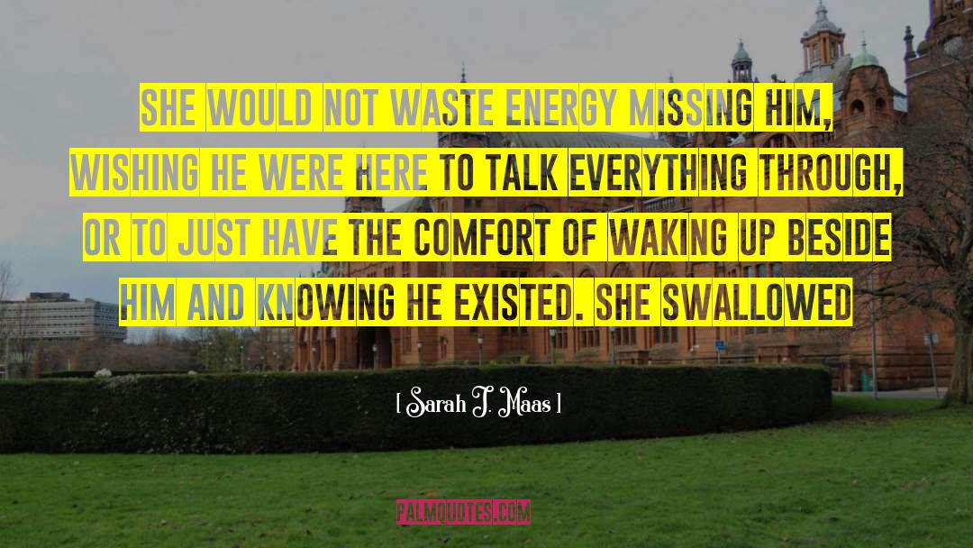 Waste Energy quotes by Sarah J. Maas