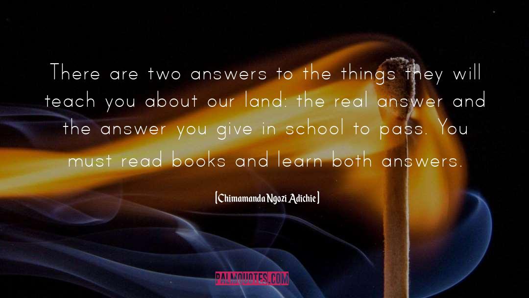 Waste Land quotes by Chimamanda Ngozi Adichie