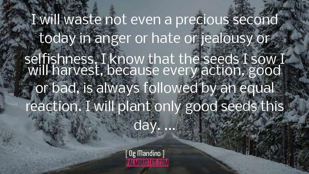 Waste Not quotes by Og Mandino