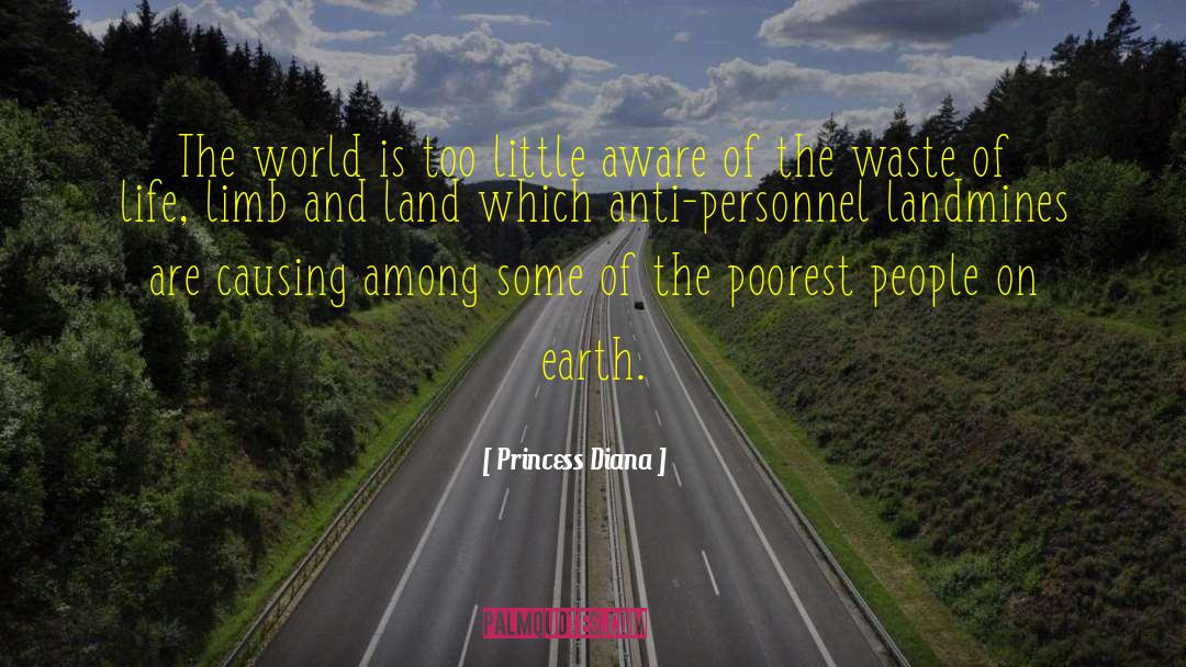 Waste Of Life quotes by Princess Diana