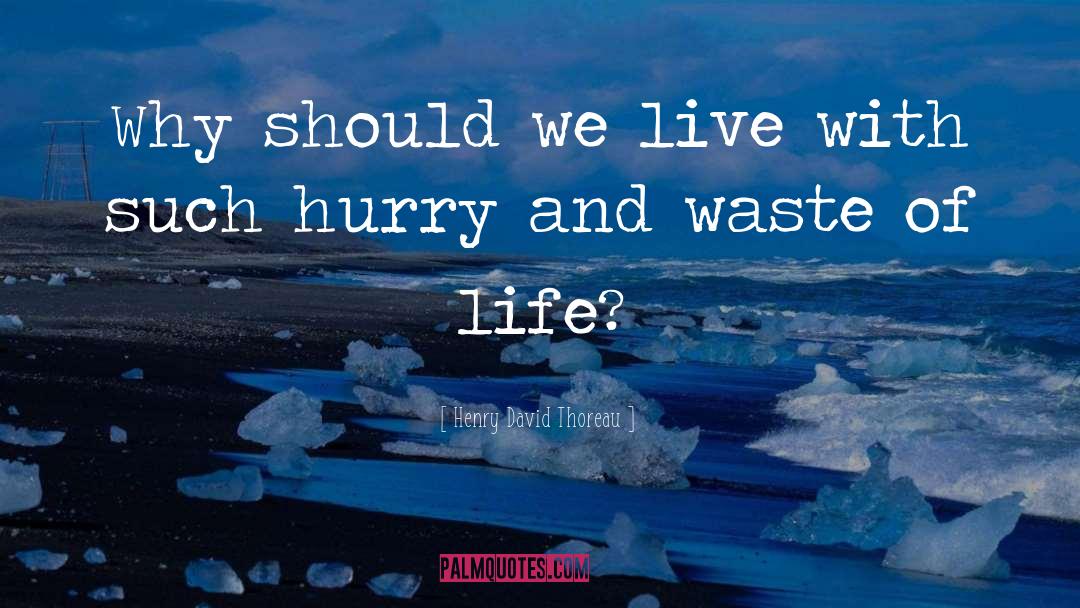 Waste Of Life quotes by Henry David Thoreau