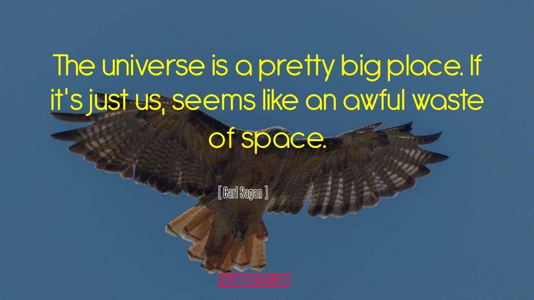 Waste Of Space quotes by Carl Sagan