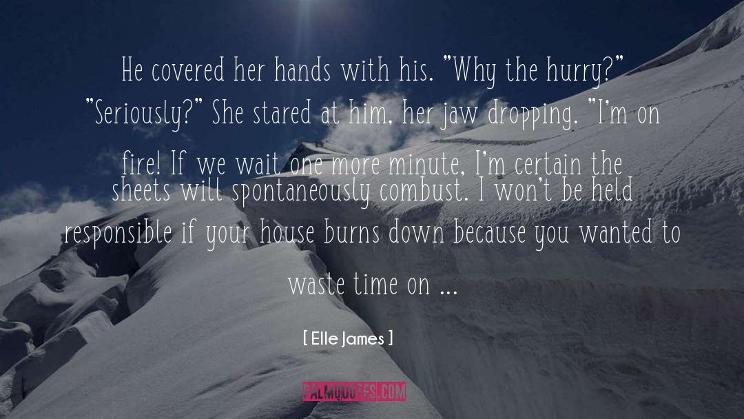 Waste Time quotes by Elle James