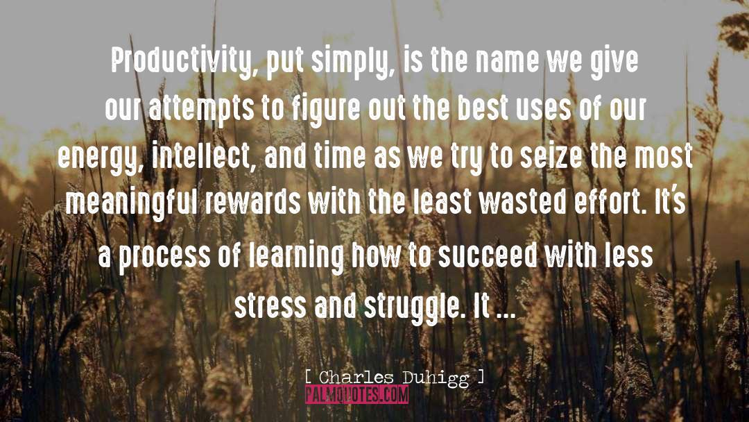 Wasted Effort quotes by Charles Duhigg