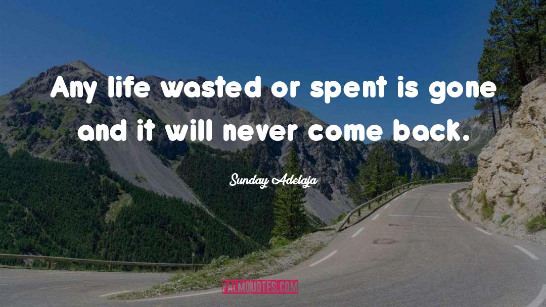 Wasted Life quotes by Sunday Adelaja