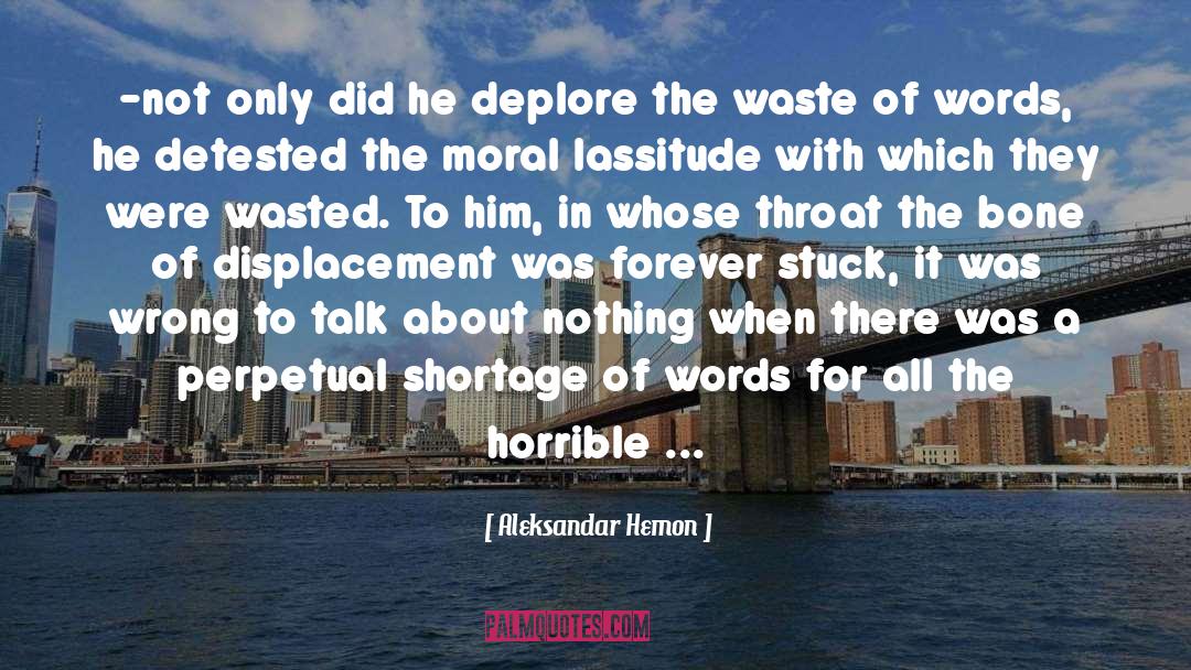 Wasted quotes by Aleksandar Hemon