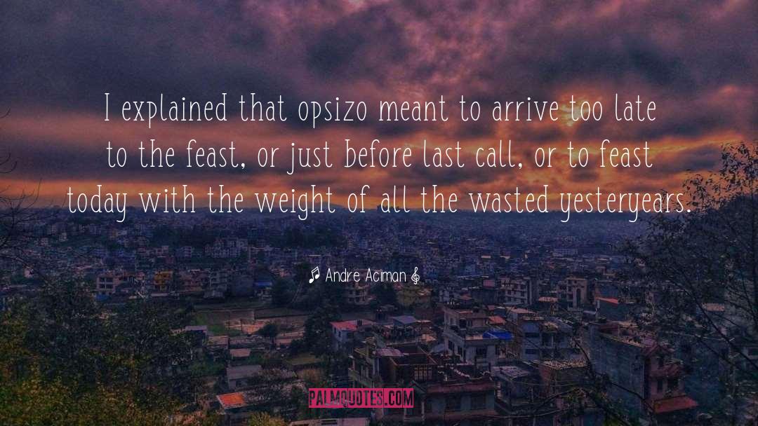 Wasted quotes by Andre Aciman