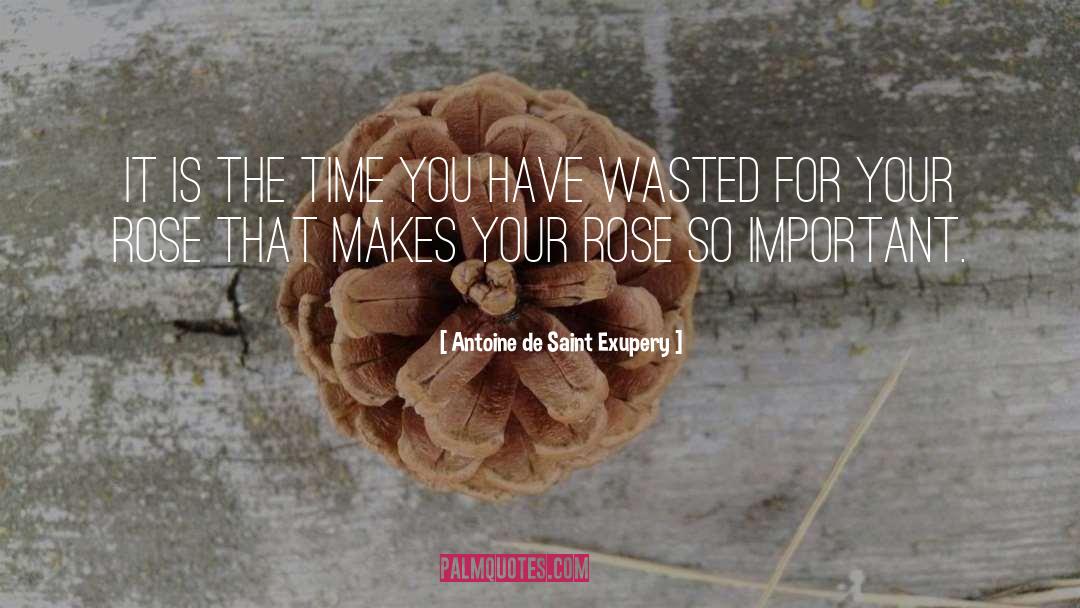 Wasted quotes by Antoine De Saint Exupery