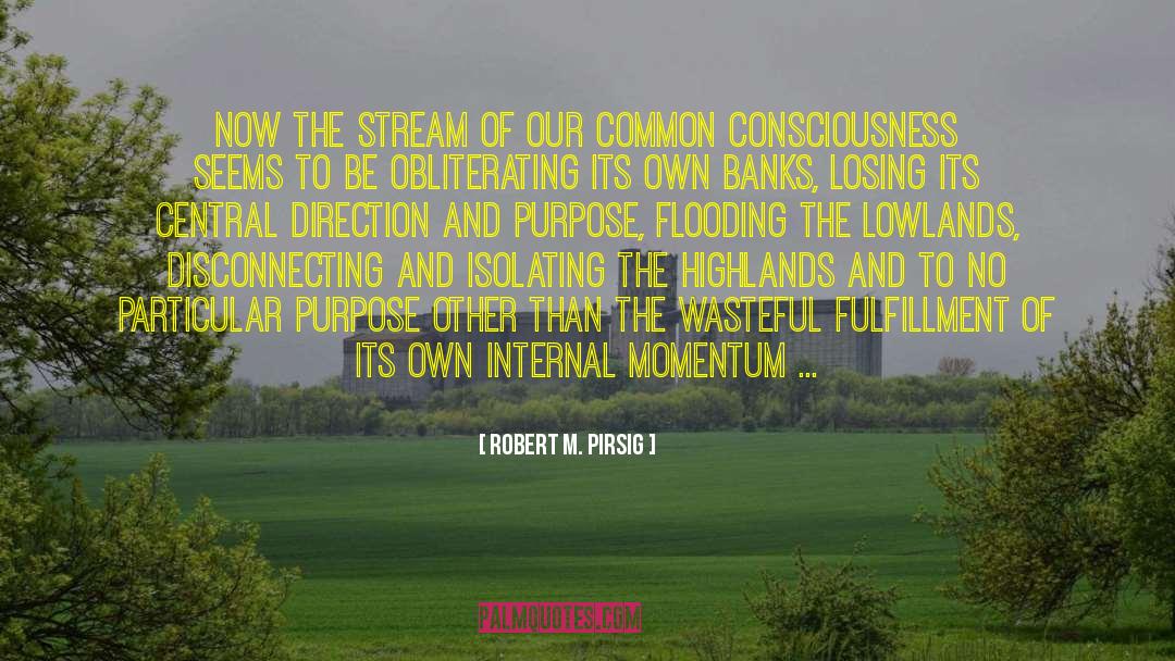 Wasteful quotes by Robert M. Pirsig