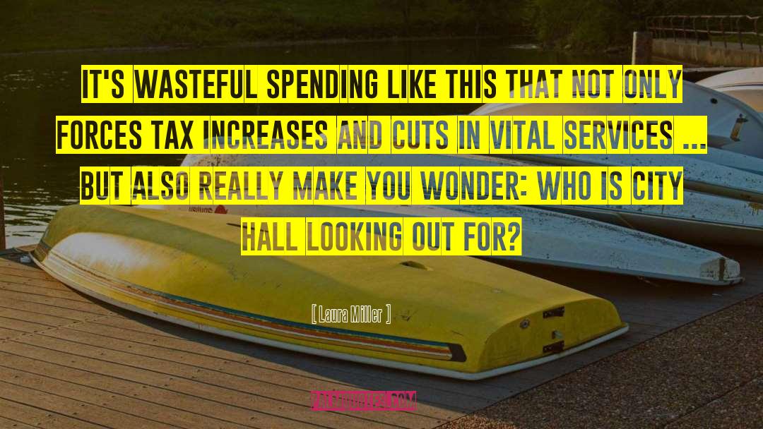 Wasteful Spending quotes by Laura Miller