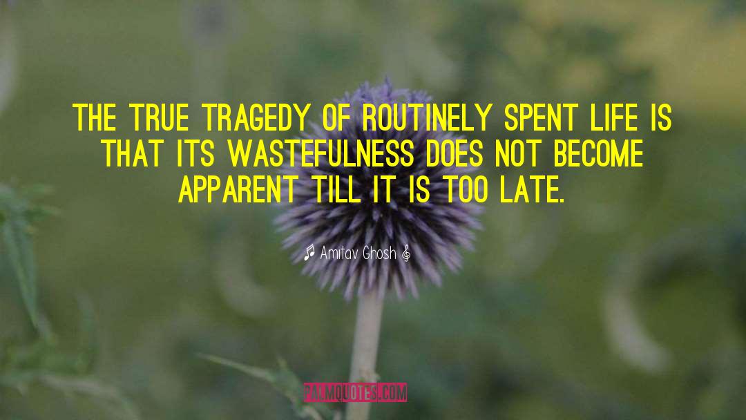 Wastefulness quotes by Amitav Ghosh