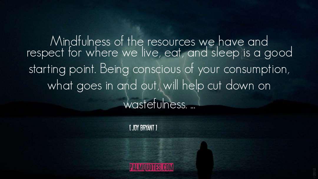 Wastefulness quotes by Joy Bryant