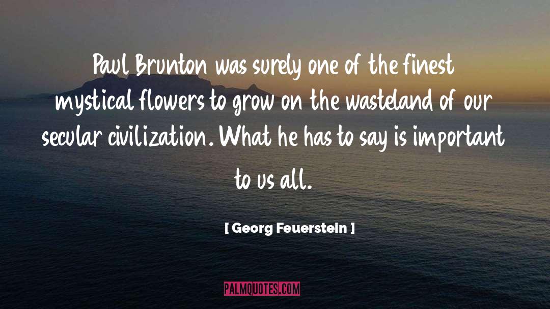 Wasteland quotes by Georg Feuerstein